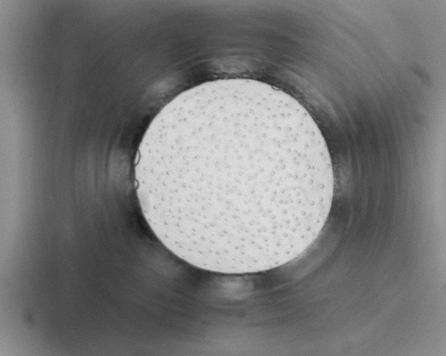 X0000116420187201001051133