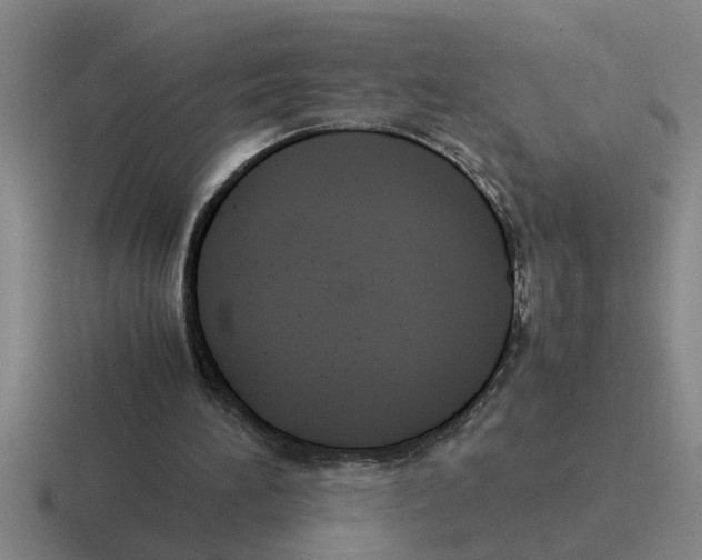 X0000116420196201001051132