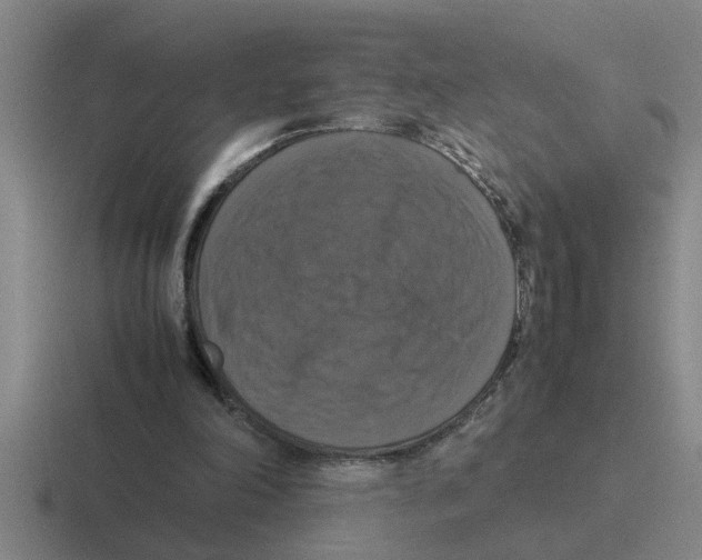 X0000116420198201001051132