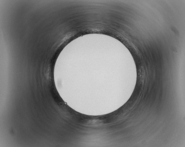 X0000116420212201001051132