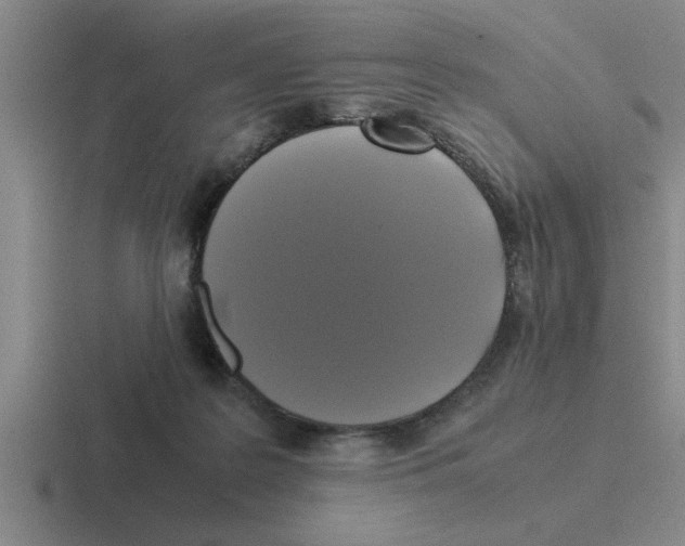X0000116420219201001051132