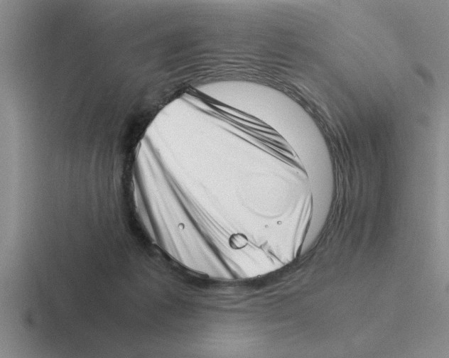 X0000116420221201001051132
