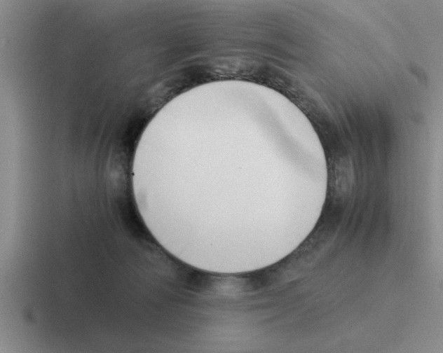 X0000116420226201001051132