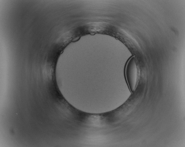 X0000116420227201001051132