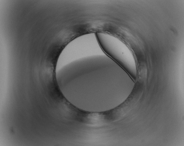 X0000116420231201001051132