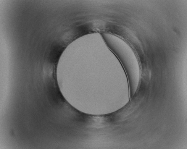 X0000116420233201001051132