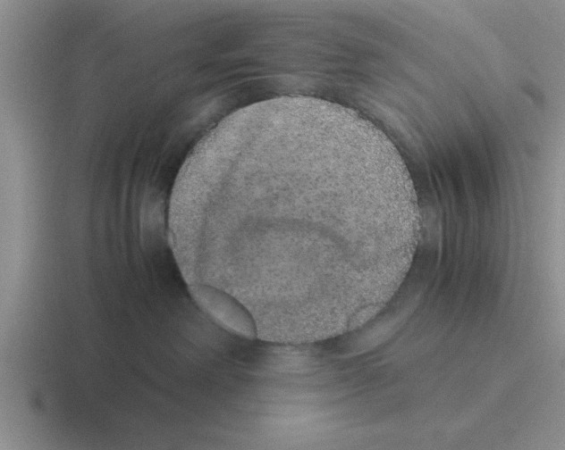 X0000116420238201001051132