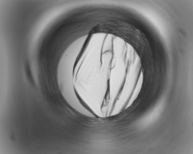 X0000116420239201001051132