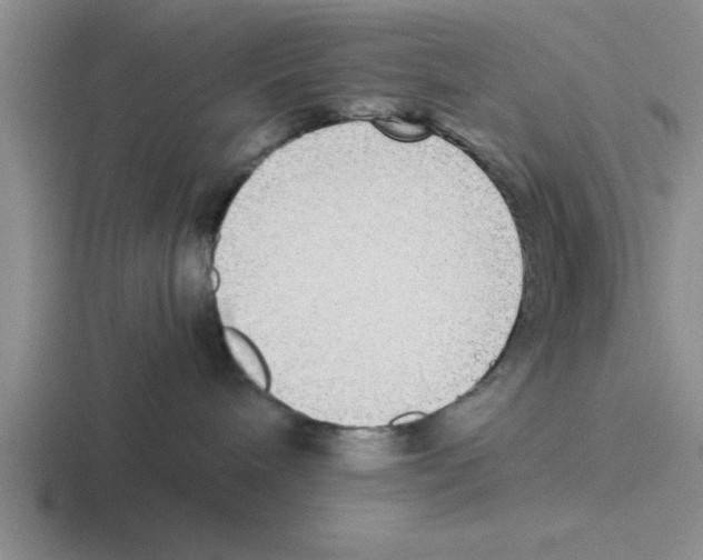 X0000116420240201001051132