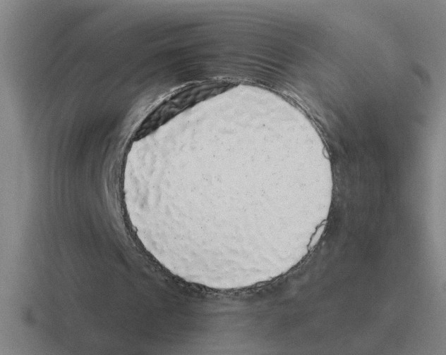 X0000116420241201001051131