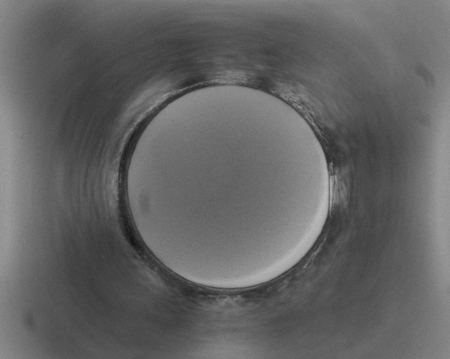 X0000116420243201001051131