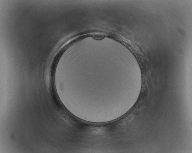 X0000116420247201001051131