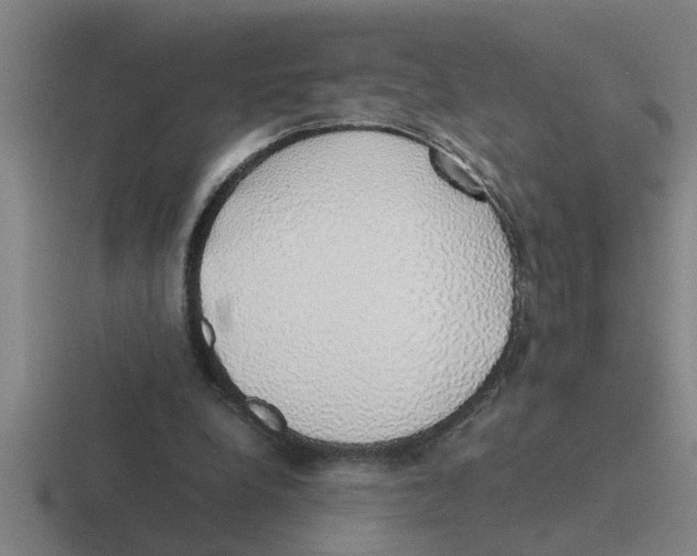 X0000116420248201001051131