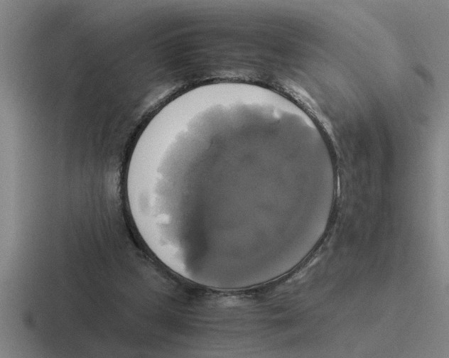 X0000116420249201001051131