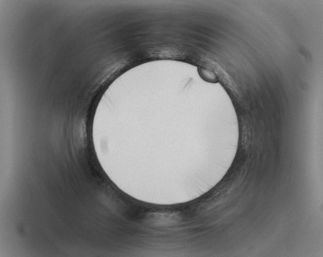 X0000116420251201001051131