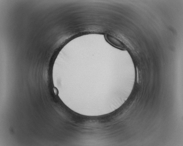 X0000116420252201001051131