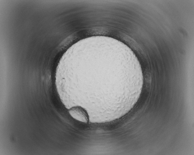 X0000116420254201001051131