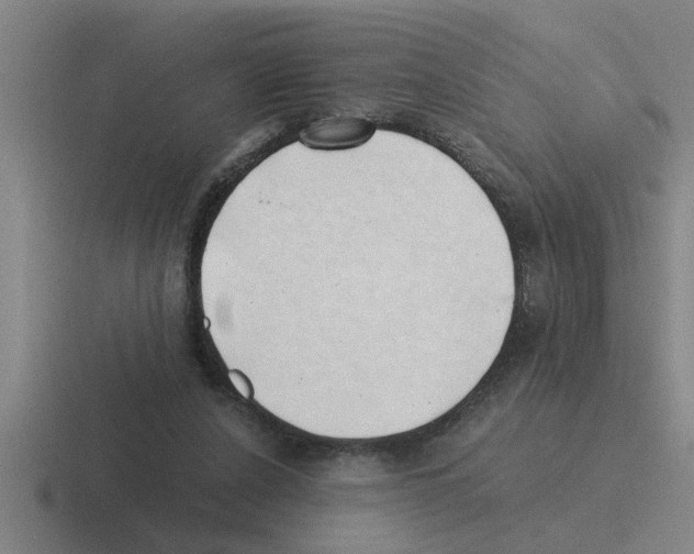 X0000116420256201001051131