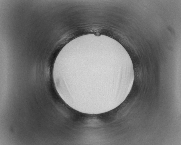 X0000116420262201001051131