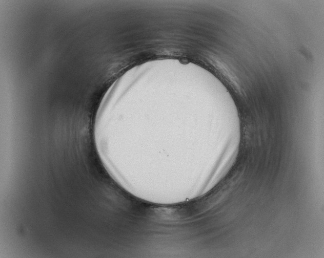 X0000116420265201001051132