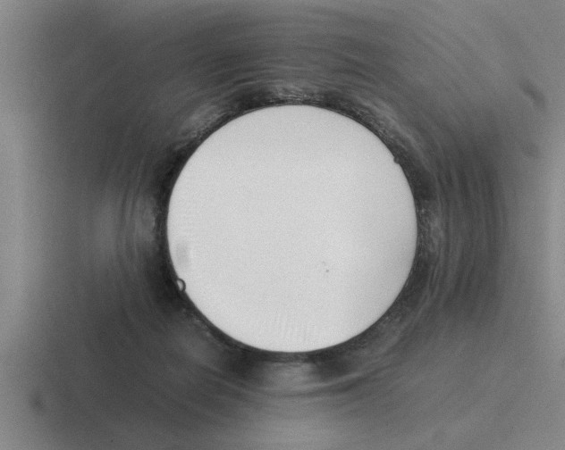 X0000116420266201001051132