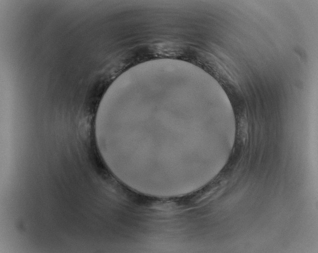 X0000116420271201001051132