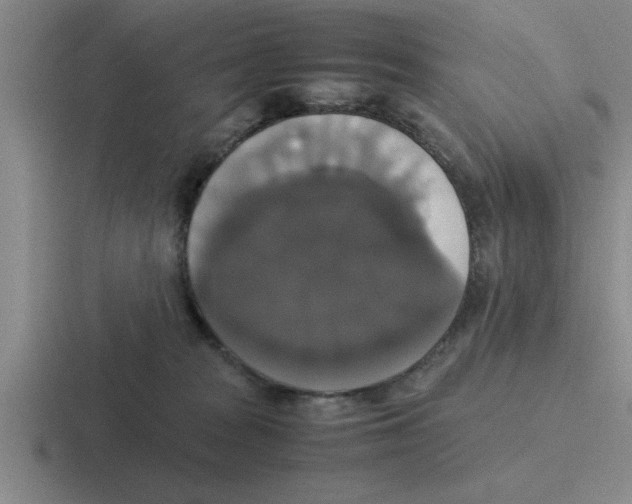 X0000116420277201001051132