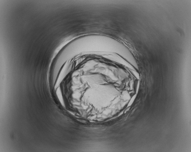 X0000116420292201001051131