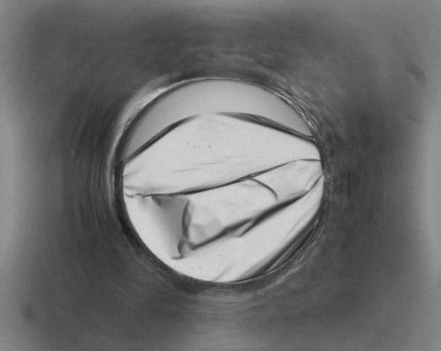 X0000116420294201001051131