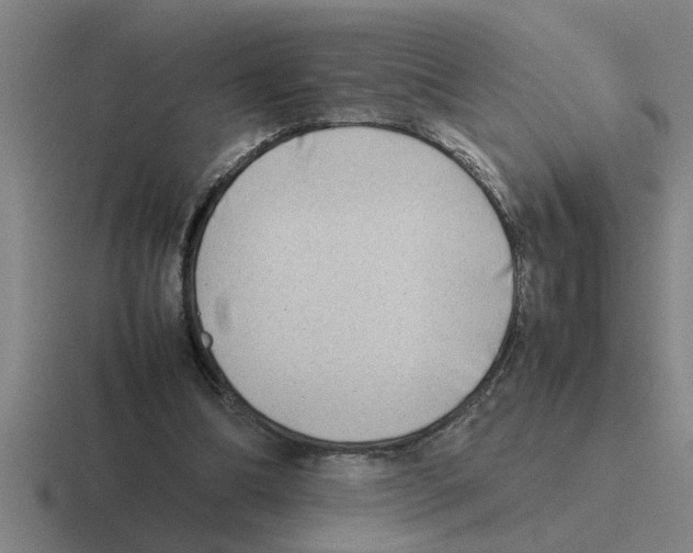 X0000116420298201001051131