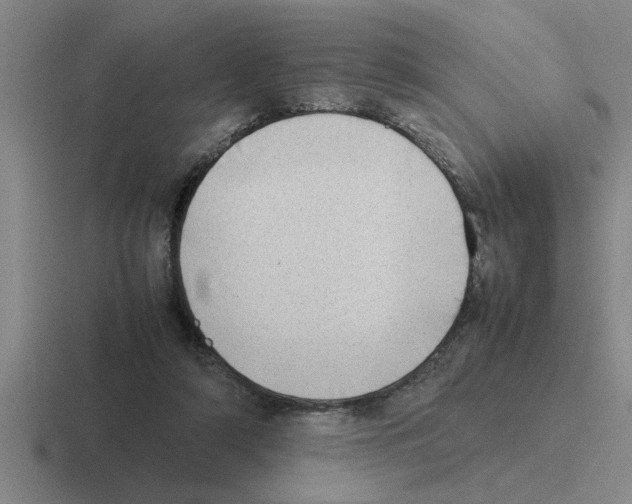 X0000116420306201001051131