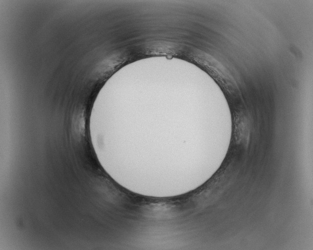 X0000116420310201001051131