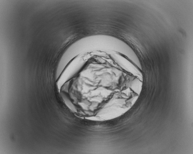 X0000116420312201001051131