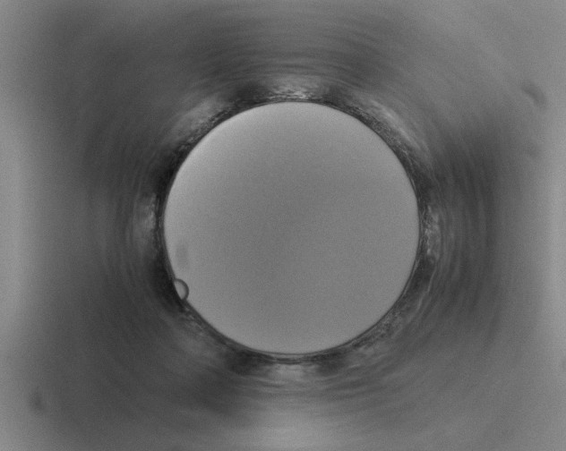 X0000116420314201001051131