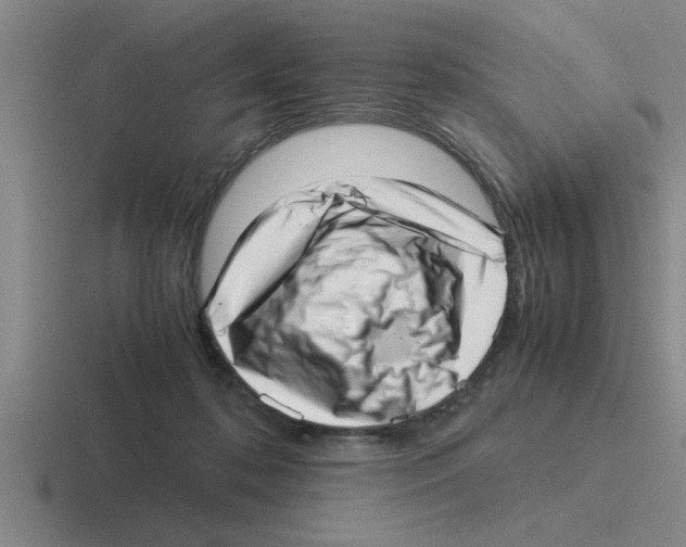 X0000116420316201001051131
