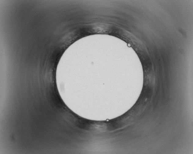 X0000116420317201001051131