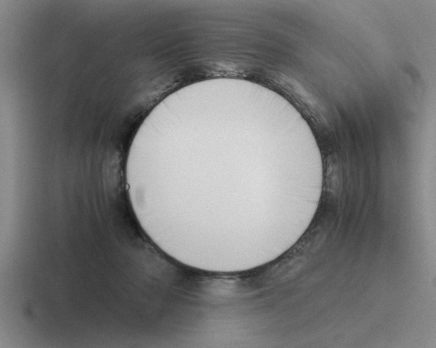 X0000116420318201001051131