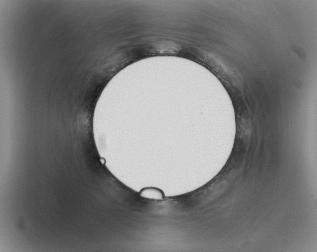 X0000116420321201001051131