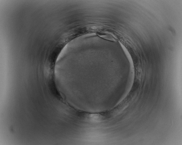 X0000116420324201001051131