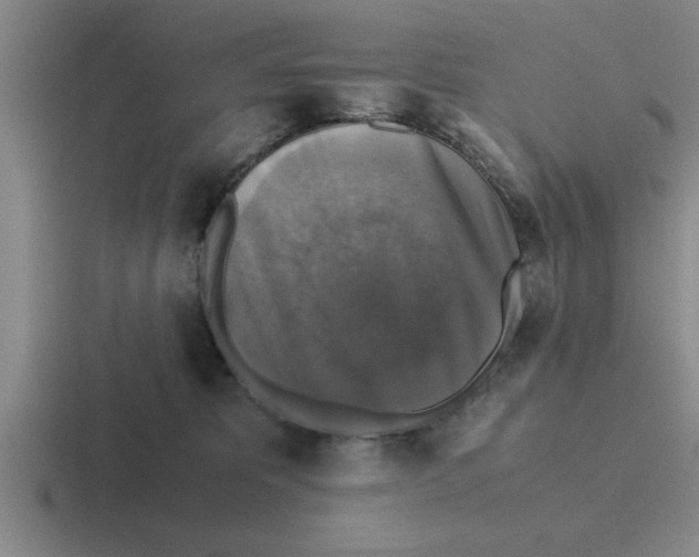X0000116420325201001051131