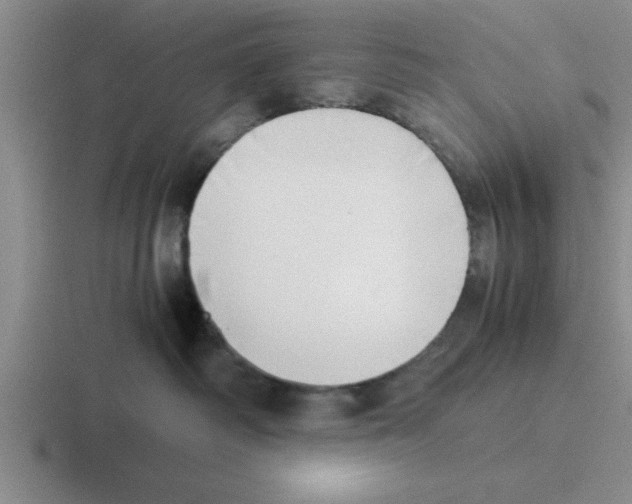 X0000116420334201001051131
