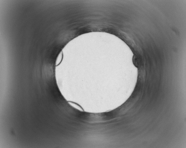 X0000116420335201001051131