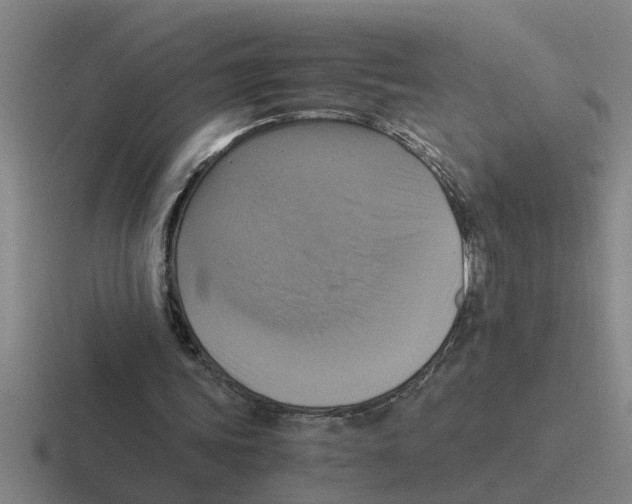X0000116420339201001051130