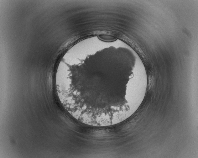 X0000116420349201001051130
