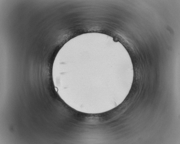 X0000116420362201001051130