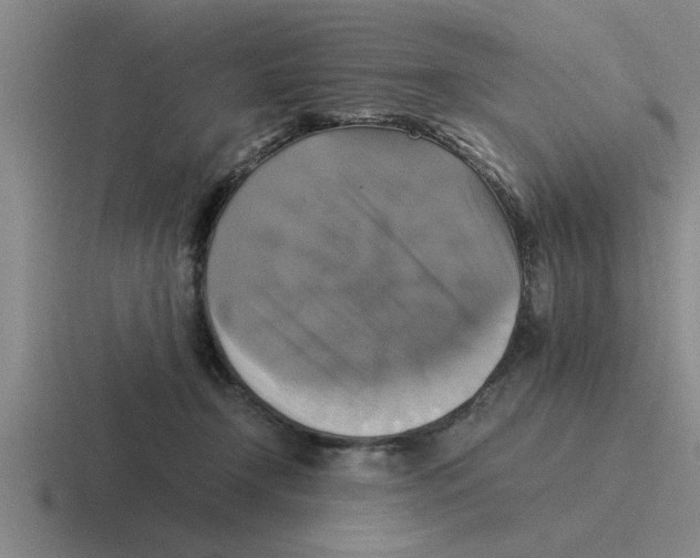 X0000116420366201001051130