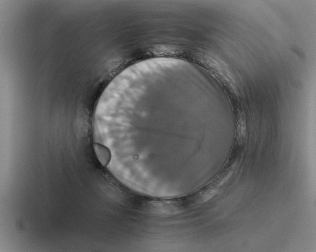 X0000116420367201001051130