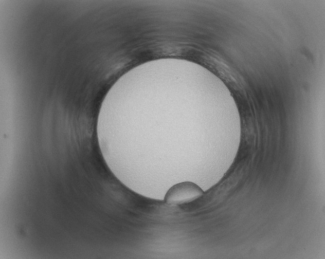 X0000116420374201001051130