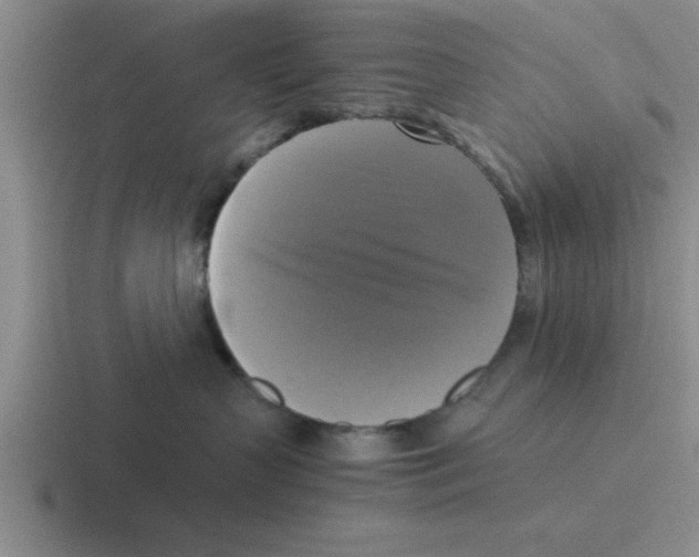 X0000116420383201001051131