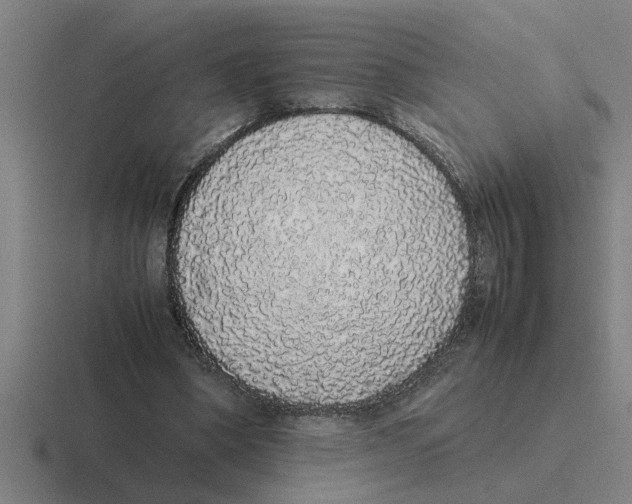 X0000116420394201001051130